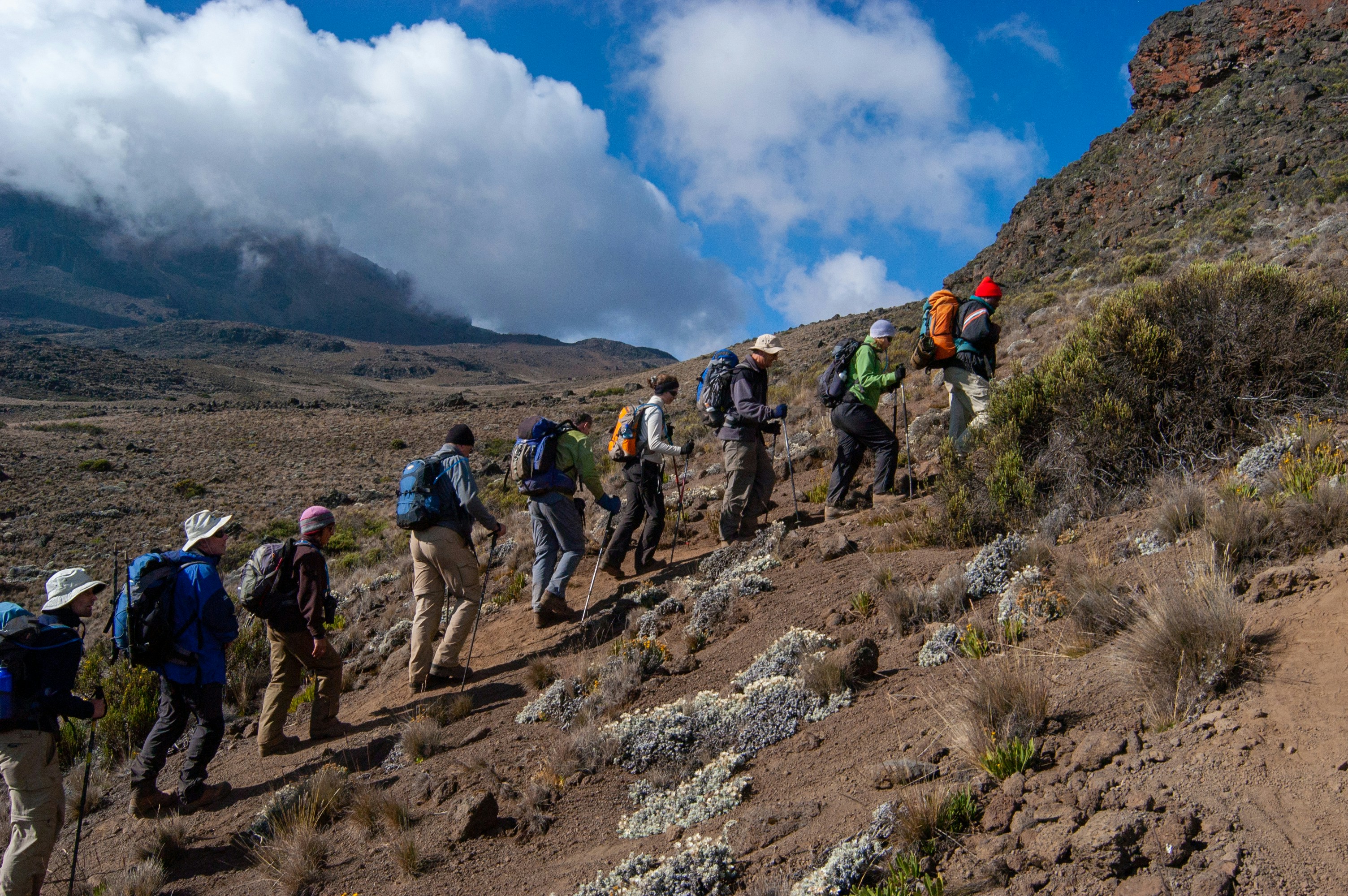 A guided walking expedition in Tanzania