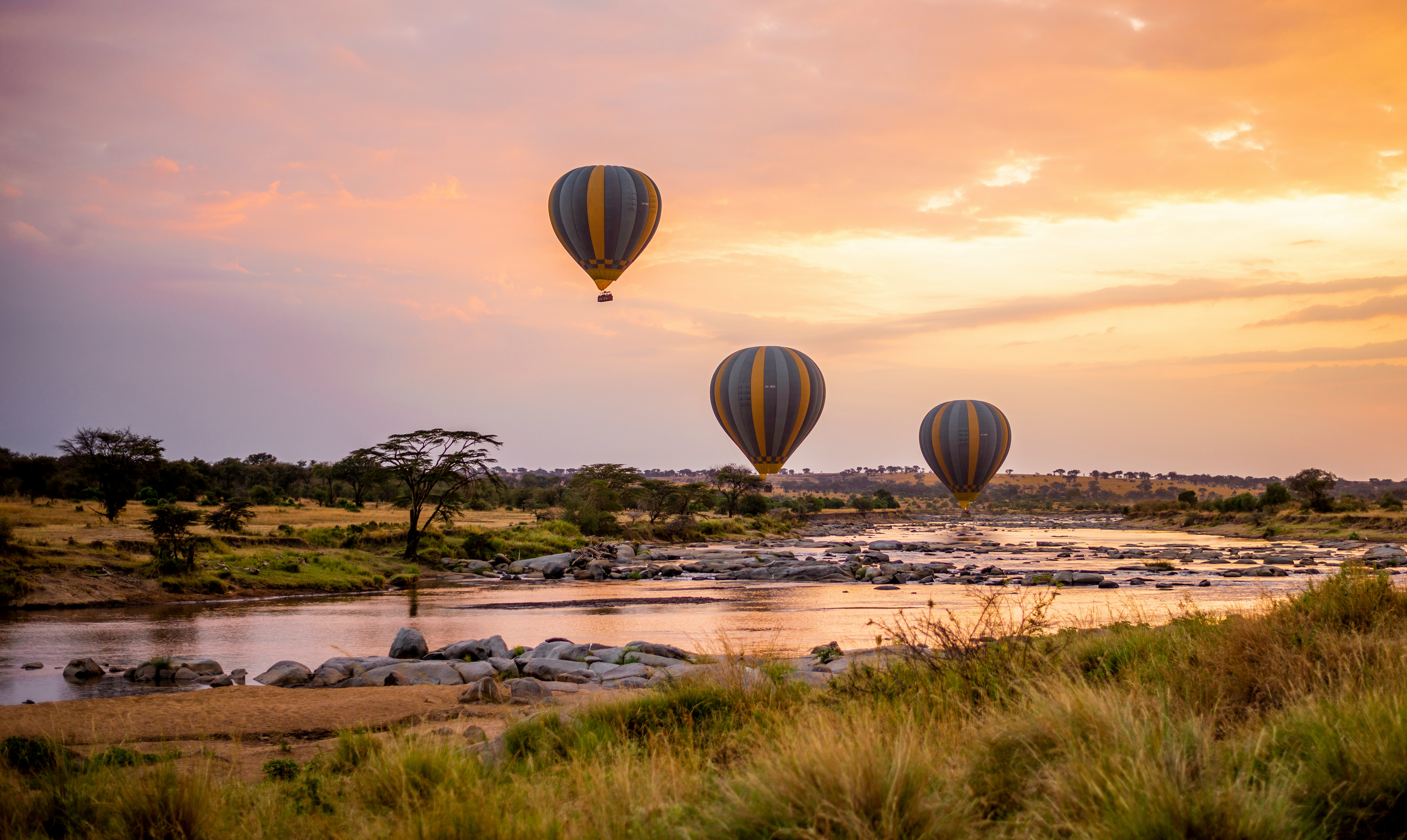Hot-air balloons floating above the Serengeti at sunset